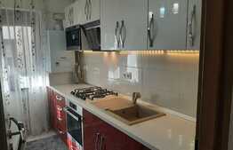 Apartament de lux cu 2 camere, zona Tractoru