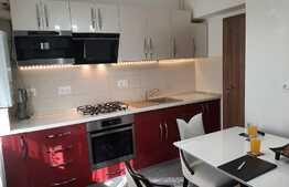 Apartament de lux cu 2 camere, zona Tractoru