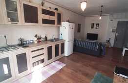 Apartament cu gradina, boxa si loc de parcare, zona Tauti