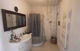 Apartament cu gradina, boxa si loc de parcare, zona Tauti