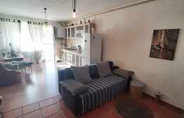 Apartament cu gradina, boxa si loc de parcare, zona Tauti