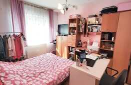 Parter inalt, decomandat, zona Florilor