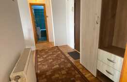 Apartament 2 camere, orientare sudica, zona Iulius Mall!