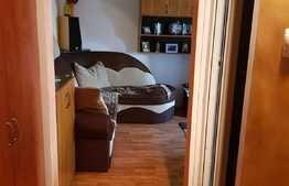 Garsoniera semidecomandata, 27 mp, in Manastur