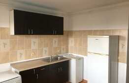 Apartament cu 1 camera, decomandat, 45mp, zona Maramuresului