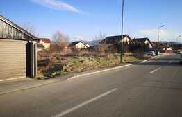 teren intravilan de 1000mp, STUPINI