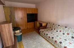 De vanzare, garsoniera cu suprafata de 24mp utili, zona Expo Transilvania