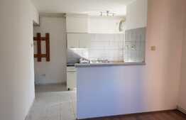 Apartament 2 camere, 40 mp, zona Stadionul CFR
