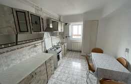 Apartament cu 3 camere, Pet Friendly, 77 mp, decomandat, zona Piata Marasti