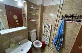 Apartament cu 3 camere, Pet Friendly, 77 mp, decomandat, zona Piata Marasti