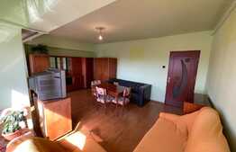 Apartament cu 3 camere, Pet Friendly, 77 mp, decomandat, zona Piata Marasti