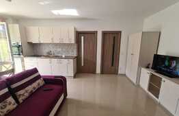 Apartament cu gradina, boxa, parcare cu CF! Zona Tauti!