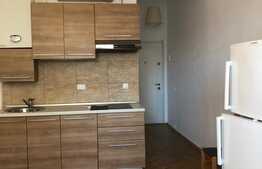 Garsoniera de inchiriat, 37 mp, zona ultacentrala