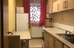 Apartament de inchiriat cu o camera, 40 mp, parcare subterana, zona Calea Turzii