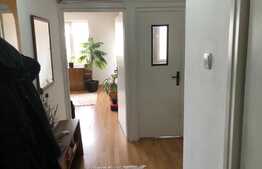 Apartament cu 2 camere, semidecomandat, Pet Friendly, zona Salii Polivalente