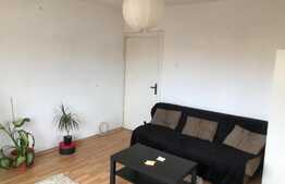 Apartament cu 2 camere, semidecomandat, Pet Friendly, zona Salii Polivalente