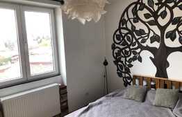 Apartament cu 2 camere, semidecomandat, Pet Friendly, zona Salii Polivalente