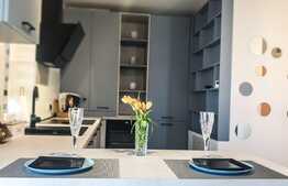 Apartamnt tip studio zona Coresi