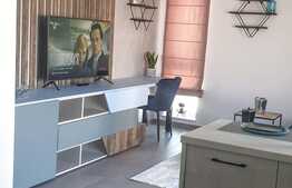 Apartamnt tip studio zona Coresi