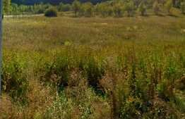 Teren intravilan 10220mp,cu front  de 68ml la drum european, in Nima