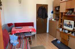 Apartament 2 camere, 22 mp, Zona Tractorul