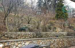 Casa individuala superba, Drumul Poienii