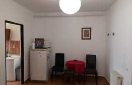 Apartament decomandat cu 1 camera, 41mp, parter inalt, parcare in curte privata! zona Terra