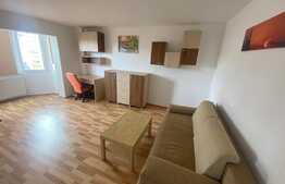 Apartament Zona Grivitei