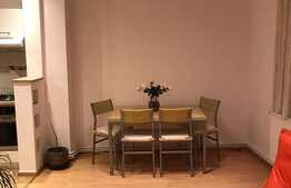 Apartament de 2 camere, 60 mp, cu iesire la curte!