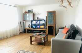 Apartament cu 3 camere, zona străzii Câmpului, aproape de pădure