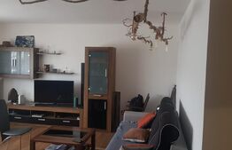 Apartament cu 3 camere, zona străzii Câmpului, aproape de pădure