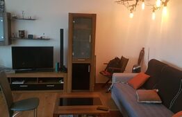 Apartament cu 3 camere, zona străzii Câmpului, aproape de pădure