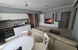Apartament 2 camere, 40 mp, zona TAUTI 