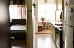 Apartament cu 1 camera, PANORAMA DEOSEBITA, 32mp cu balcon, zona P-ta Mihai Viteazul