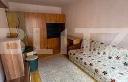 Garsoniera 24mp, balcon, zona Expo Transilvania