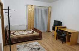 1 camera, 35 mp, zona Sala Sporturilor, cartier Plopilor