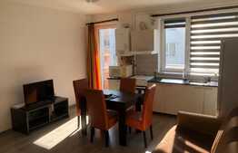 Apartament cu 1 camera, semidecomandat, 42mp, parcare, zona Intre Lacuri