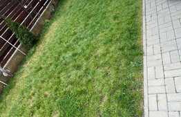 Apartament 3 camere, gradina,parcare, zona Stejarului, Floresti