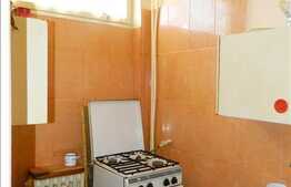 De vanzare apartament cu 1 camera si boxa pentru depozitare, in zona Parang