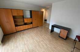 Apartament cu 1 camere, 37 mp, parter, zona Lidl