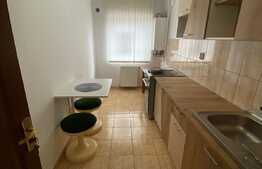 Apartament cu 1 camere, 37 mp, parter, zona Lidl