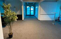 Spatii birouri, 45-70 mp, zona Calea Turzii, cladire de birouri