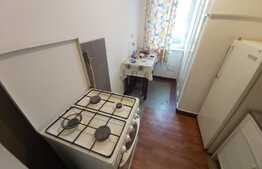 Apartament cu o camera Pet Friendly, 32mp, zona strazii Horea