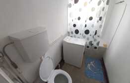 Apartament cu o camera Pet Friendly, 32mp, zona strazii Horea
