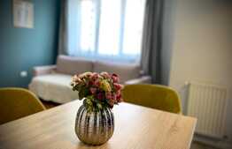  2 camere mobilat modern AC, parcare, 45mp, zona Mihai Viteazu