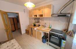 Apartament 1 camera, 44mp, loc parcare, panorama! Zona Vivo!