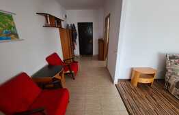 Apartament 1 camera, 44mp, loc parcare, panorama! Zona Vivo!
