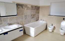 Casa Deosebita Cristian, 980 mp teren, 200 mp utili