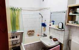 Garsoniera cocheta, finisata, 28mp + balcon, zona Detunata