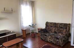 Apartament 1 camera, 40 mp, 2 balcoane, zona strazii Corneliu Coposu